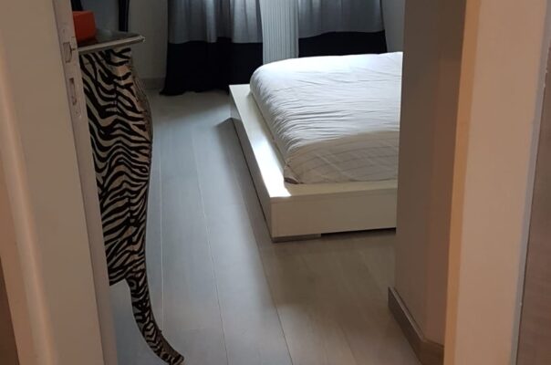 Nouveau parquet gas concept